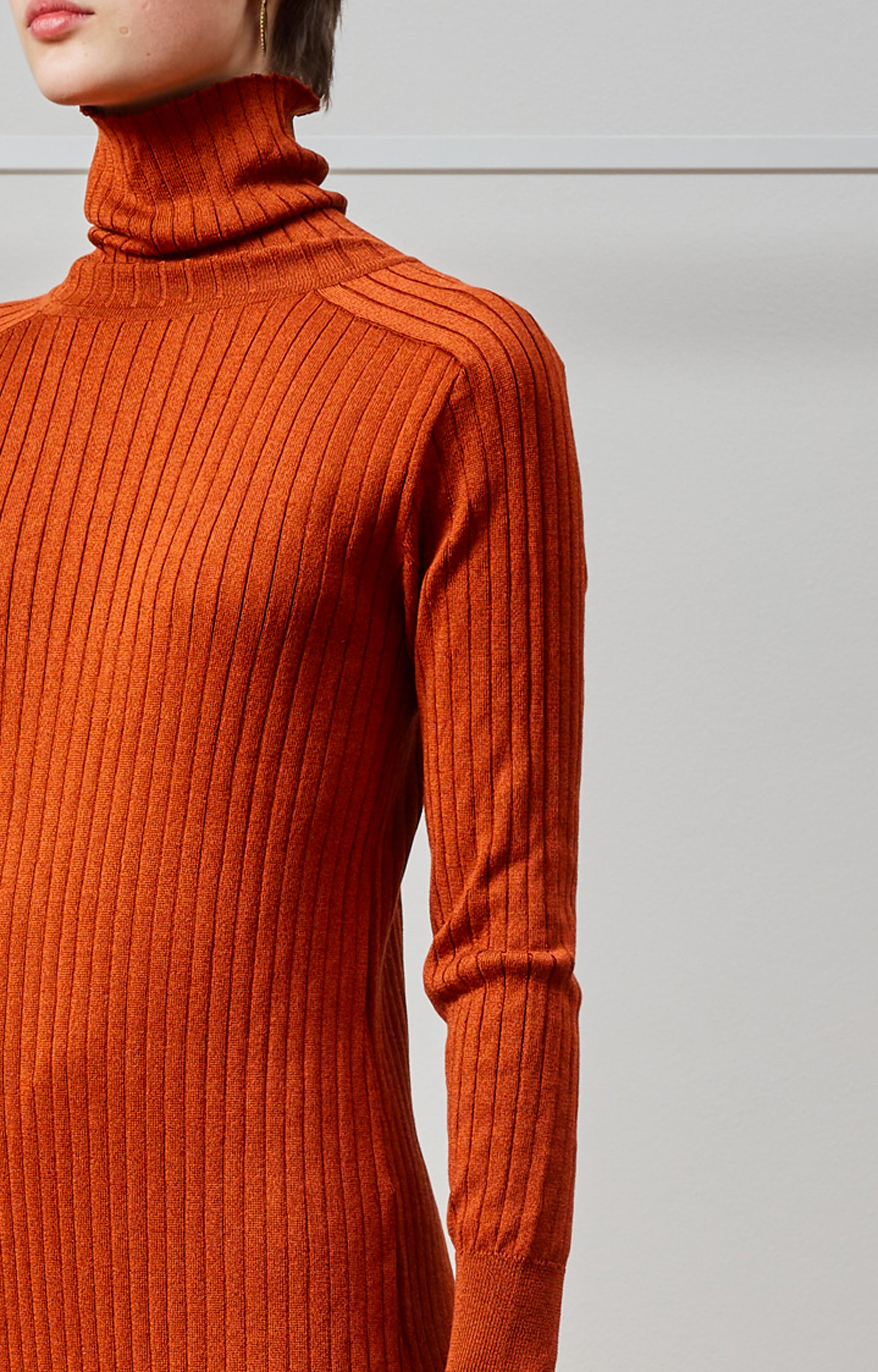 Skin turtleneck dress