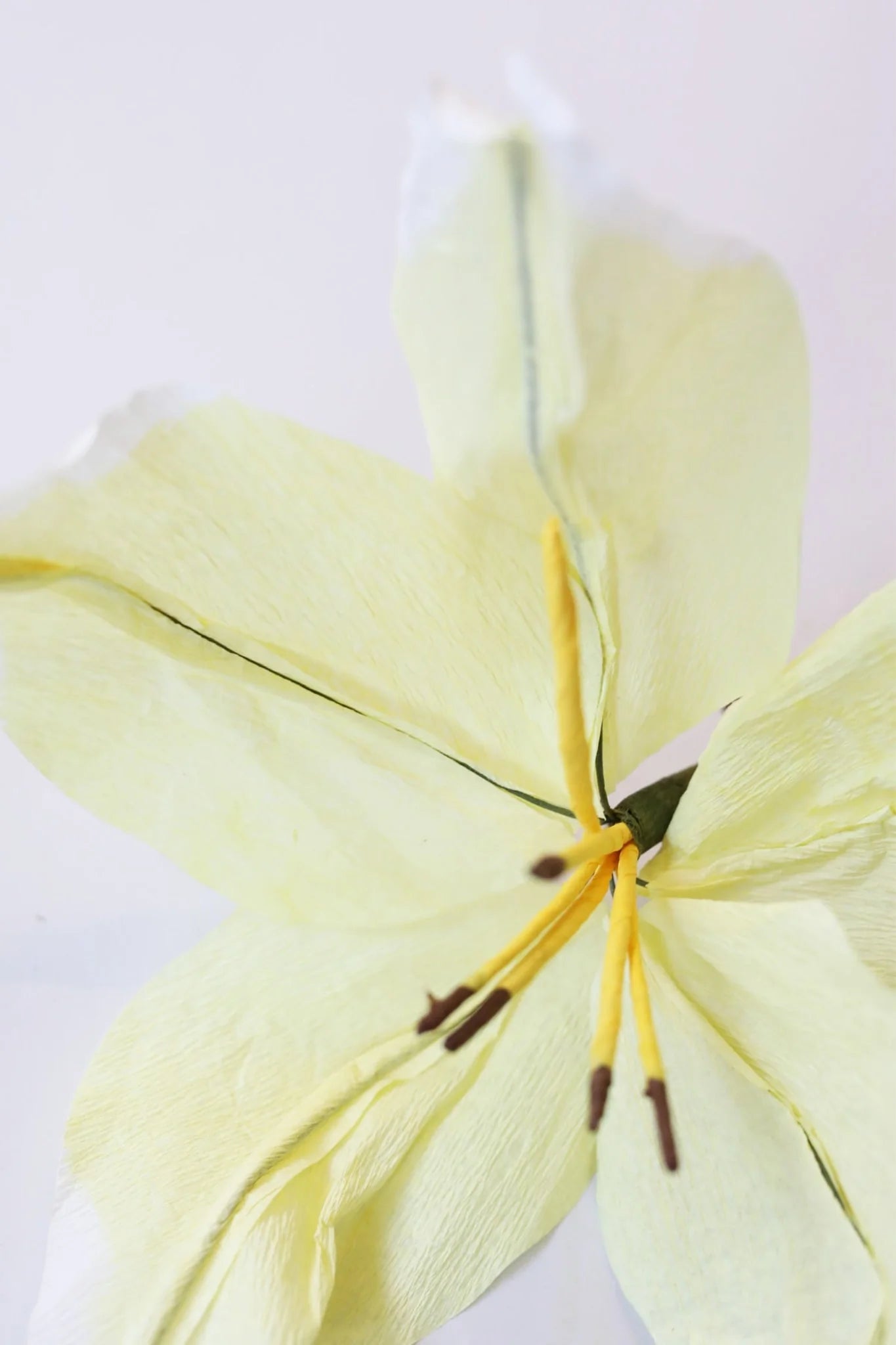 LILY, YELLOW